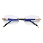 Vision Pro