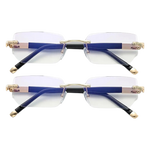 Vision Pro